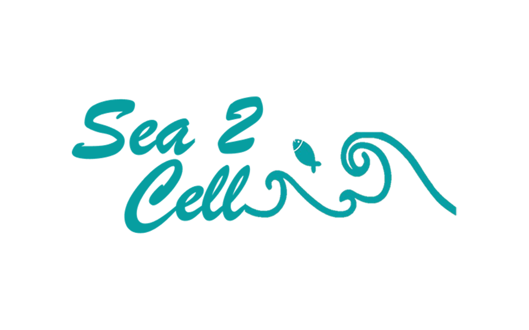 Sea2CellSustainable cell-cultured fish based on immortalized fish cell lines with improved proliferation rate. Proprietary immortalized fish cell lines for the production of cultured fish. The cells differentiate upon a specifically designed signal while cutting overall costs and allowing efficient scale-up.