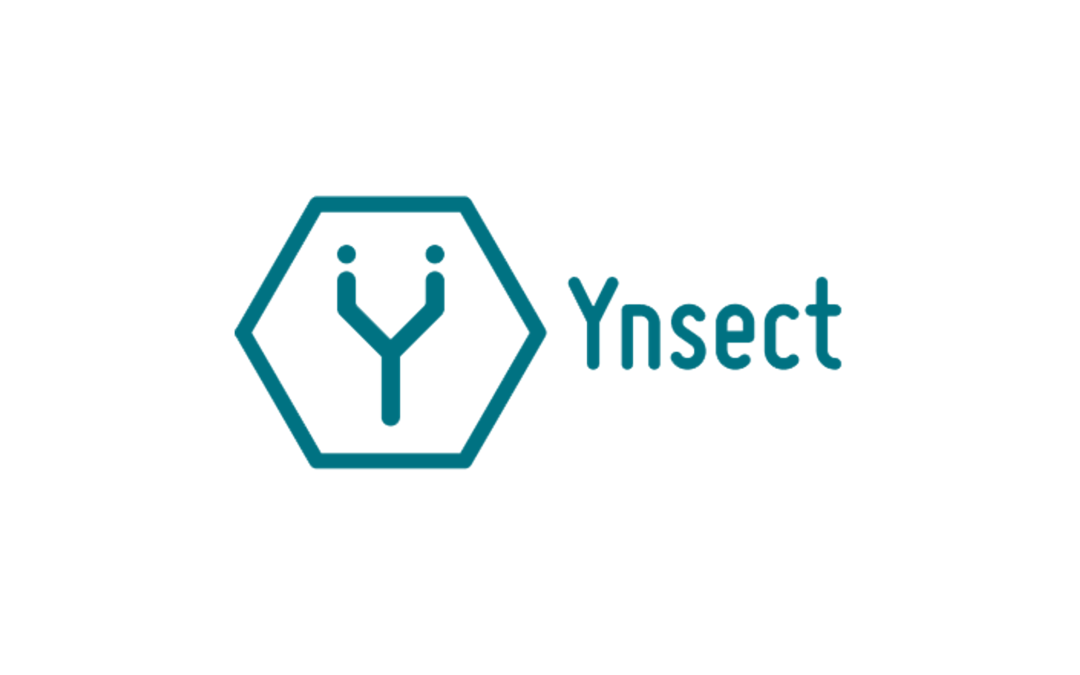 YnsectReinventing the food chain with high-quality ingredients made from insects for animal feed and fertilizer.